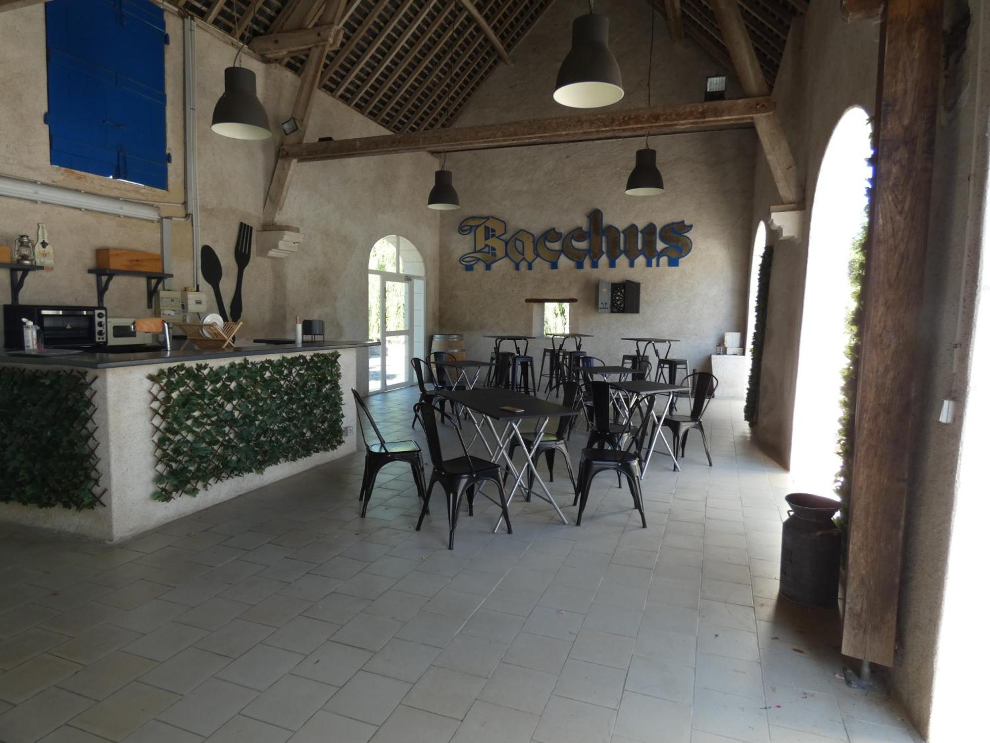 Moulin De Bacchus - Chateaux De La Loire Chancay Bagian luar foto