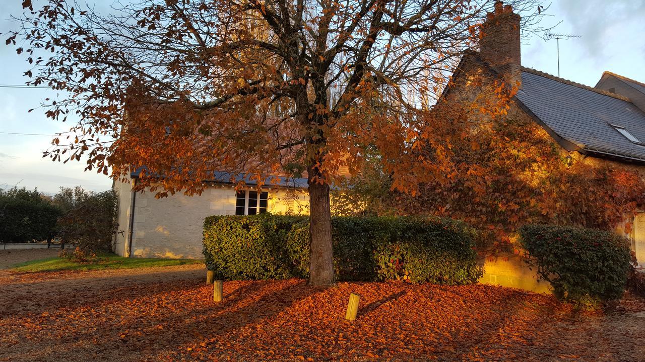 Moulin De Bacchus - Chateaux De La Loire Chancay Bagian luar foto
